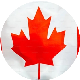 Image of best IELTS coaching centre in Thodupuzha Kerala offering live classes, individual speaking practice, mock exams, grammar workshops, writing correction, and British Council-aligned syllabus. Authored by Intelligent Immigration, featured by https://intelligenimmigration.com/
                                